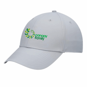 Gorra Nike Canopy Family Gris