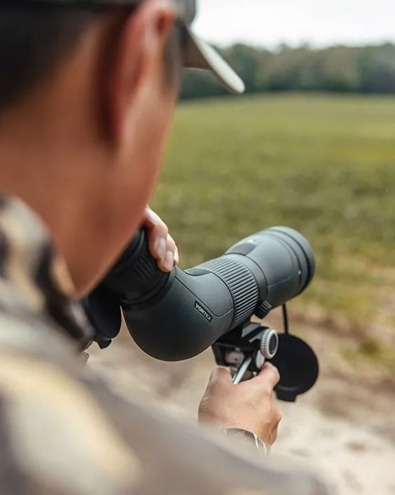 Observación de aves